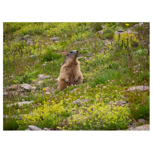 PHOTO84, CLUB, 84 , LUBERON